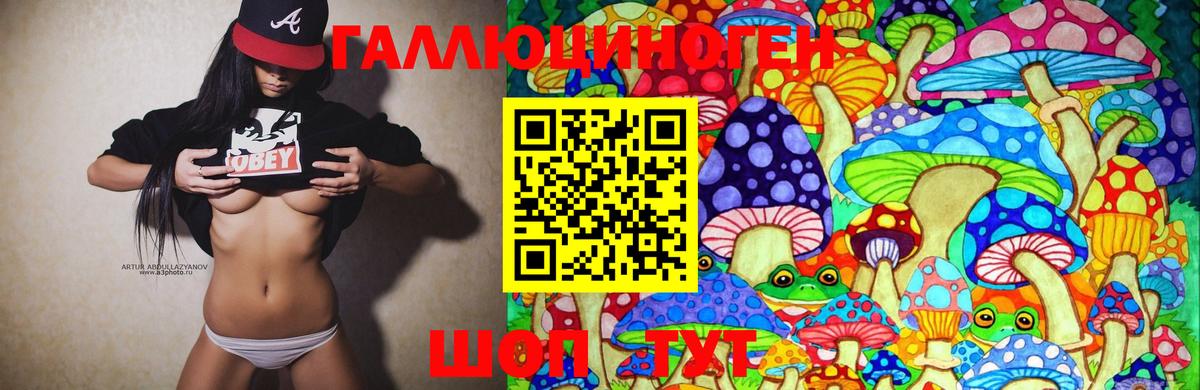 Усть-Илимск  Псилоцибиновые грибы MAGIC MUSHROOMS  Вход с VPN 